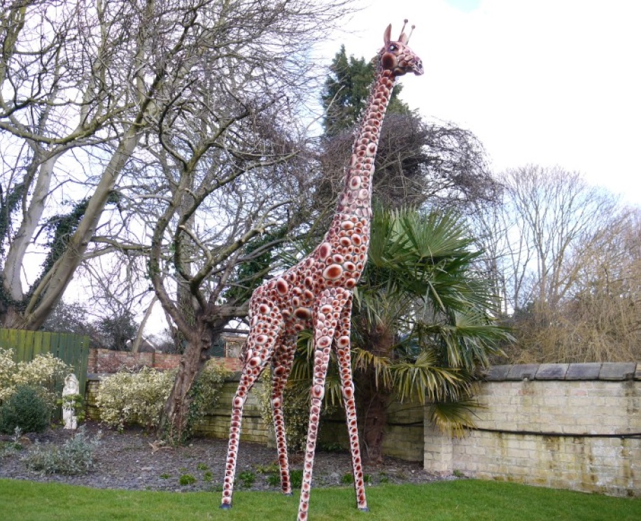 giraffe.jpg2 giraffe.jpg2